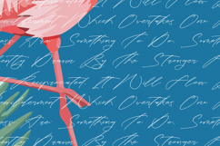 Tropicals Graceful - Modern Calligraphy Script Product Image 9