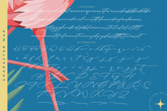 Tropicals Graceful - Modern Calligraphy Script Product Image 19