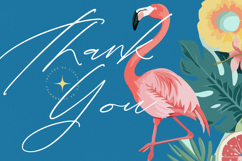 Tropicals Graceful - Modern Calligraphy Script Product Image 20