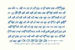 Tropics Sometimes Beaches - Modern Brush Font Product Image 13