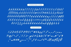 Tropics Sometimes Beaches - Modern Brush Font Product Image 14