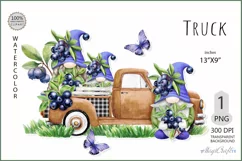 Truck png|Gnome with Blueberry sublimation| Gnome truck png Product Image 1