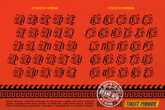 Trust Parade Typeface Product Image 15