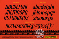 Trust Parade Typeface Product Image 7