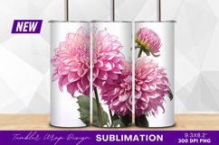 Three blooming pink dahlias on white background tumbler png Product Image 1