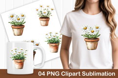 Daisy Flower in Clay Pot PNG Clipart Product Image 1