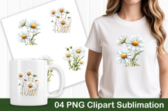 Daisy Bloom White Flower PNG Clipart Product Image 1