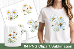 White Cosmos Flower Illustration PNG Product Image 1