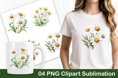 White Daisy Flower PNG Clipart Product Image 1