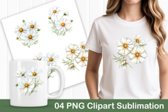 White Cosmos Flower Clipart PNG Product Image 1