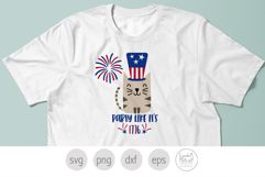 Party Like it's 1776 Cat. Kitty for America's 250th Product Image 4