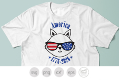 Patriotic Cat in Sunglasses Svg. America 1776 to 2026 Png Product Image 3