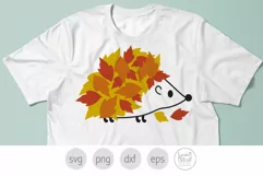 Fall Hedgehog Svg, Autumn Woodland Hedgehog Png Product Image 4