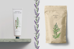 Apothecary Herbs Illustration Set Product Image 13