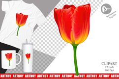 Spring Tulip Clipart Product Image 1