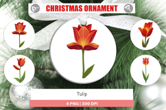 Ornament Spring Tulip Product Image 1