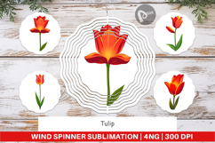 Wind Spinner Spring Tulip Product Image 1
