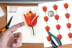 Spring Tulip Sticker Product Image 1