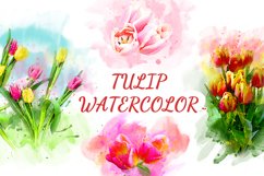 Tulip Floral Watercolor Sublimation Clipart PNG Product Image 1