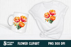 Tulip flower clipart PNG | Boho floral clipart PNG design Product Image 1