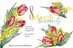 Women Day bouquets Tulips and mimosa Watercolor clipart Product Image 1