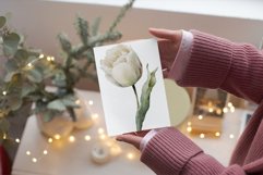 Tulip flowers clipart png Product Image 6