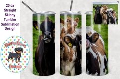 Cows 20 oz skinny Tumbler Sublimation File Product Image 1