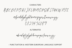 Tumbleweed Script Product Image 10