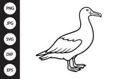 Albatross Bird SVG Product Image 1
