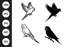 Budgie Bird SVG, Budgie Bird Clipart Product Image 1