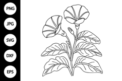 Outline Morning Glory Flower SVG Product Image 1