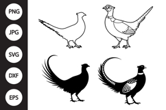 Pheasant SVG, Pheasant Clipart Product Image 1