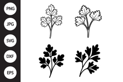 Parsley SVG, Parsley Clipart Product Image 1
