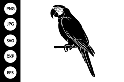 Silhouette Parrot SVG Product Image 1