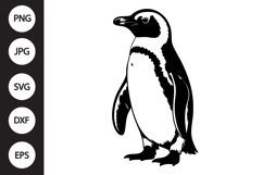African Penguin SVG Product Image 1