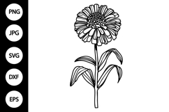 Outline Zinnia SVG, Coloring Page Product Image 1