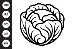Cabbage SVG Product Image 1
