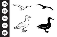 Albatross Bird SVG, Albatross Bird Clipart Product Image 1