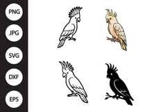 Cockatoo Bird SVG, Cockatoo Bird Clipart Product Image 1