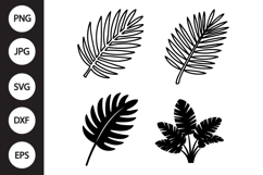 Palm Leaves SVG, Palm Leaves Clipart Product Image 1
