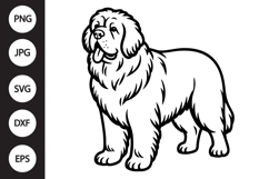 Newfoundland Dog SVG Product Image 1