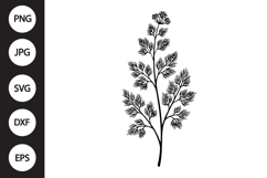 Dill Herb SVG Product Image 1