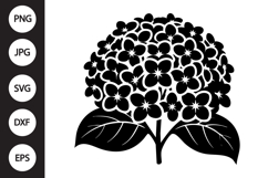 Hydrangea SVG Product Image 1