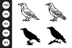 Crow SVG, Crow Clipart Product Image 1