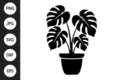 Monstera in a Pot SVG Product Image 1