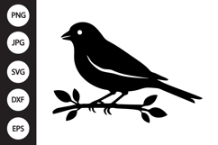 Canary Bird SVG Product Image 1