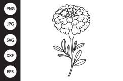 Marigold SVG Product Image 1