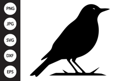 Robin Bird SVG Product Image 1