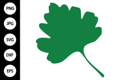 Leaf SVG Product Image 1