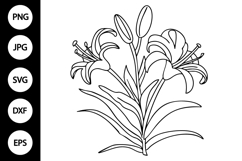 Outline Lily SVG, Coloring Page Product Image 1